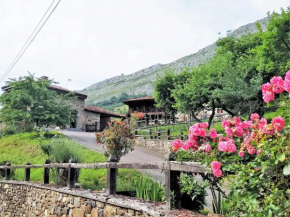 Baldevenero
